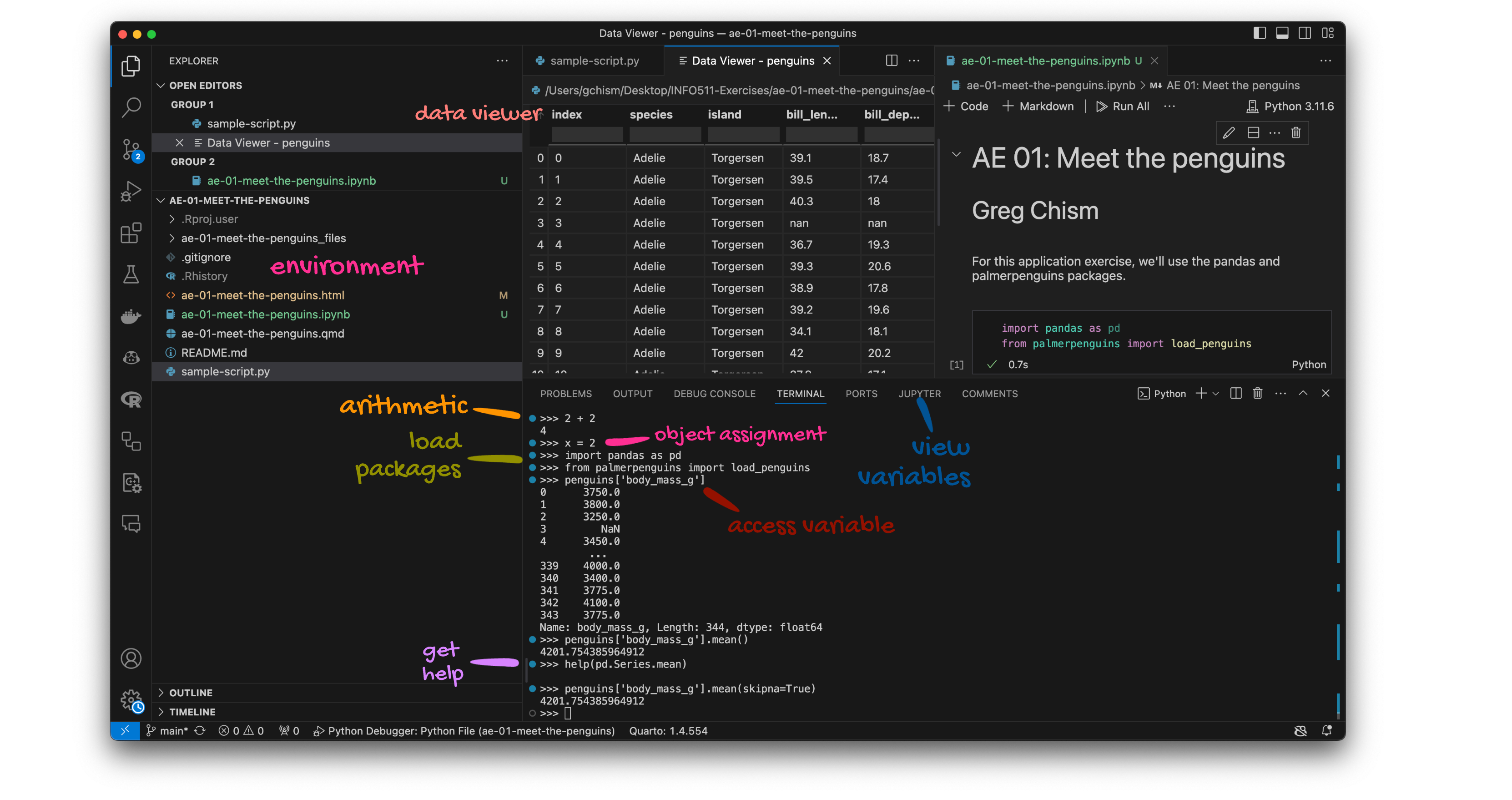 VS Code IDE